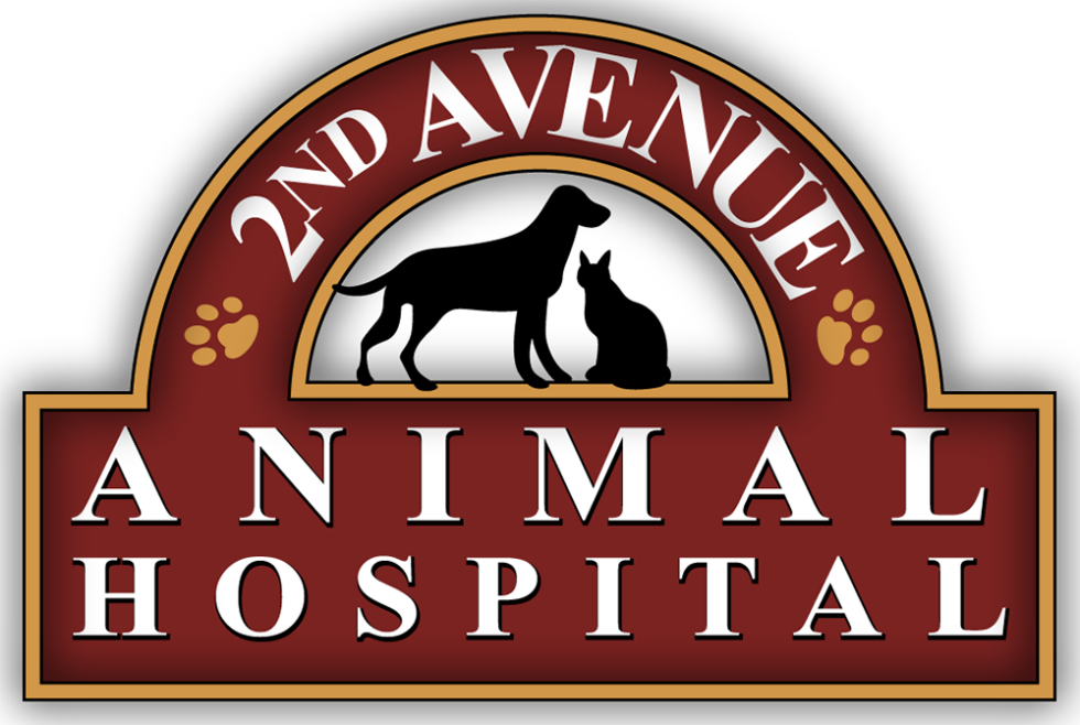 Best Vet Hospital In Columbus, GA 2nd Avenue Animal Hospital